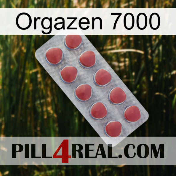 Orgazen 7000 18.jpg